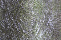 Sowerby fibreglass roof work